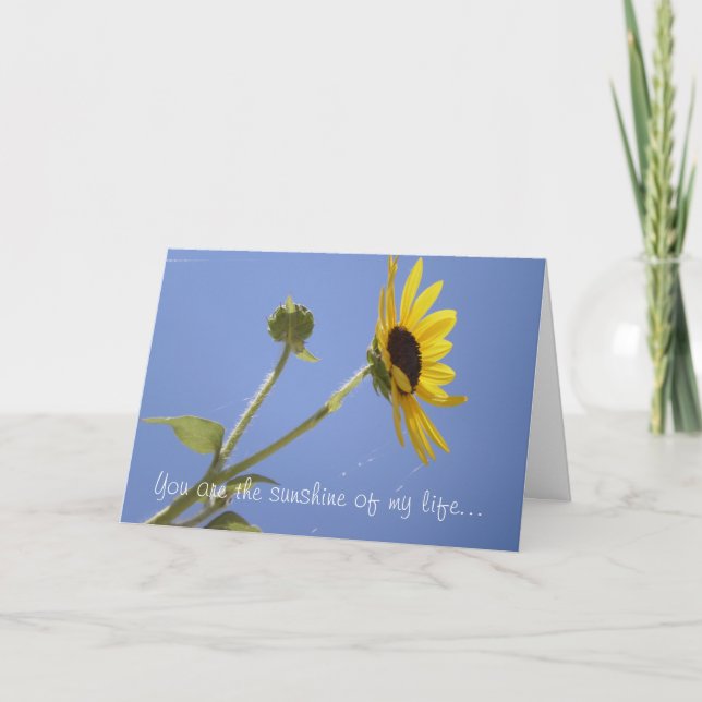 You are the sunshine of my life... card (Front)