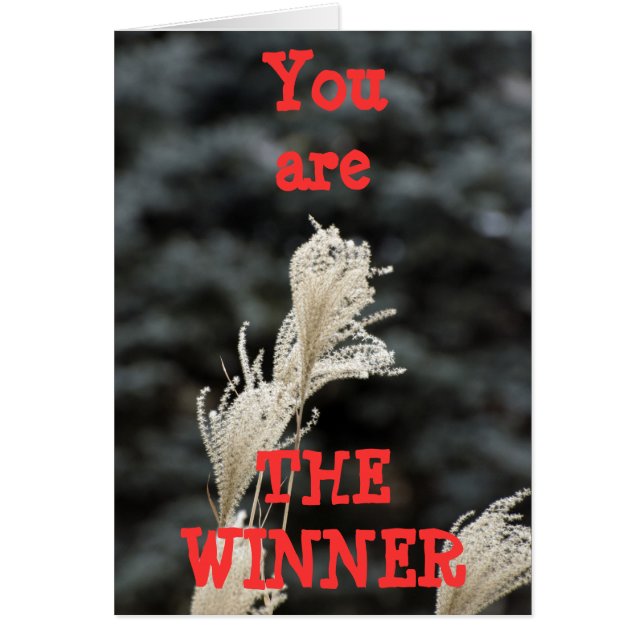 You are THE WINNER (Front)