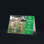 **YOU ARE TURNING 4** NO KIDDING! BIRTHDAY CARD<br><div class="desc">I THINK THEY ARE ADORABLE AND HOPE YOU DO AS WELL... ... THANK YOU SO VERY MUCH FOR STOPPING BY ONE OF MY EIGHT STORES!!!!</div>