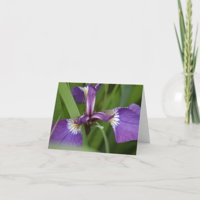 You are vibrant today greeting card (Front)