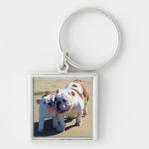 You Belong With Me! Key Ring