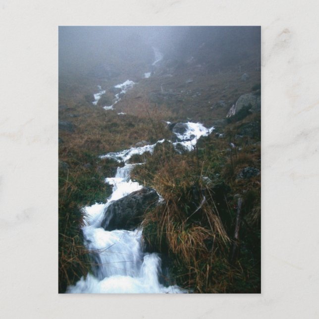 YOU, BELOVED POSTCARD (Front)