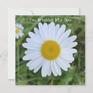 You Brighten My Day Daisy Thank You Card