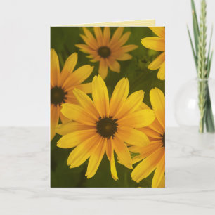 "you brighten my day" greeting card