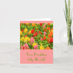 "YOU BRIGHTEN MY WORLD"/ANNIVERSARY CARD/CELOSIA CARD