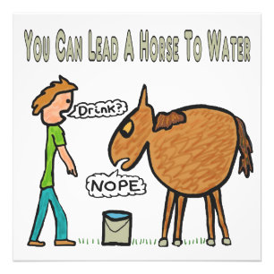 You Can Lead A Horse To Water Photo Print
