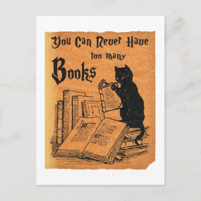 You Can Never Have Too Many Books Cat White Postcard (Front)