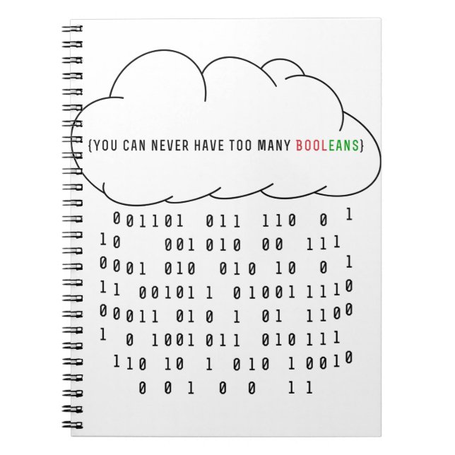 You can never have too many booleans! (Updated) Notebook (Front)