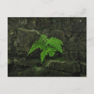 You can survive... postcard