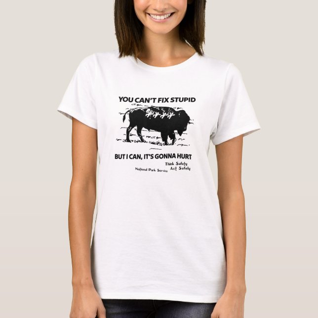 You Can’t Fix Stupid But I Can It's Gonna Hurt Fun T-Shirt (Front)