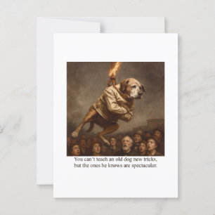 You can’t teach an old dog new tricks postcard