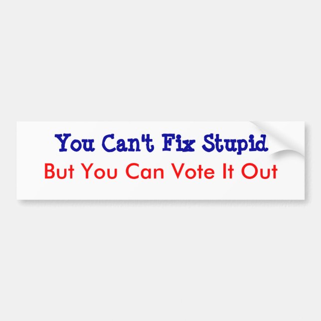 You Can't Fix Stupid Bumper Sticker (Front)