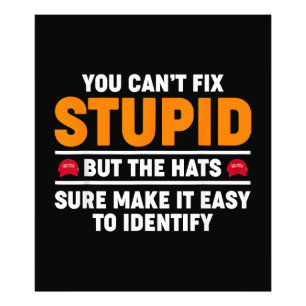 You Can't Fix Stupid But The Hats Sure Make It Eas Photo Print
