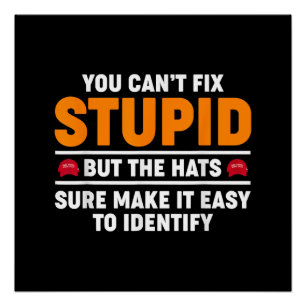 You Can't Fix Stupid But The Hats Sure Make It Eas Poster