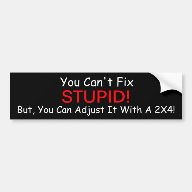 You Can't Fix Stupid. But, You Can  Bumper sticker (Front)