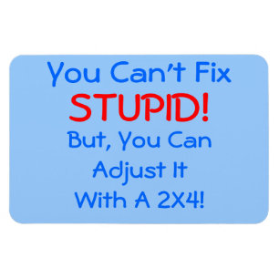 You Can't Fix STUPID!, but you can... MAGNET