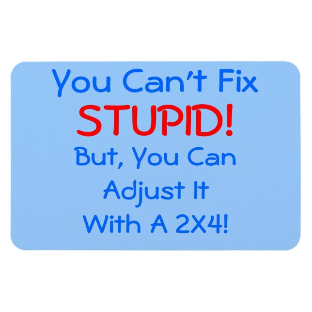 You Can't Fix STUPID!, but you can... MAGNET (Horizontal)