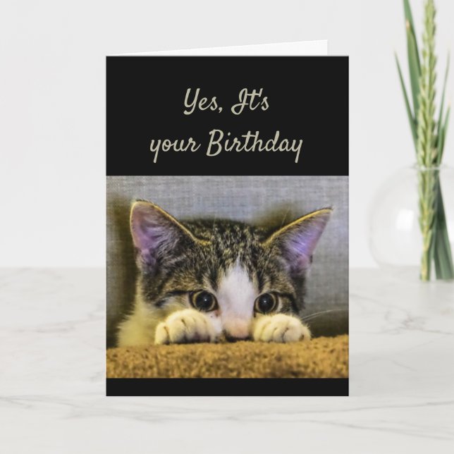 You can't Hide It's your Birthday Cute Kitten Card (Front)