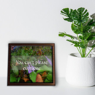 You can't please everyone wisdom saying poster