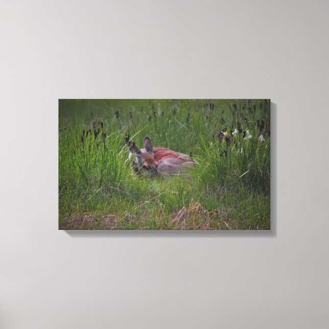 You cant see me! canvas print (Front)