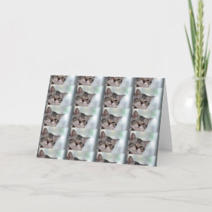 YOU DESERVE WINKS KISSES HUGS MORE BIRTHDAY CARD