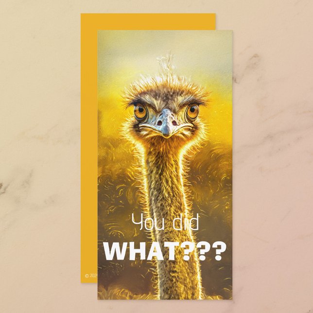 You Did WHAT???  (Creator Uploaded)