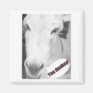 You donkey magnet