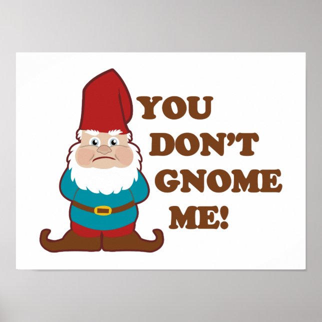You Dont Gnome Me! Poster (Front)