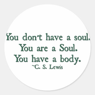 You don't have a soul, you are a soul classic round sticker