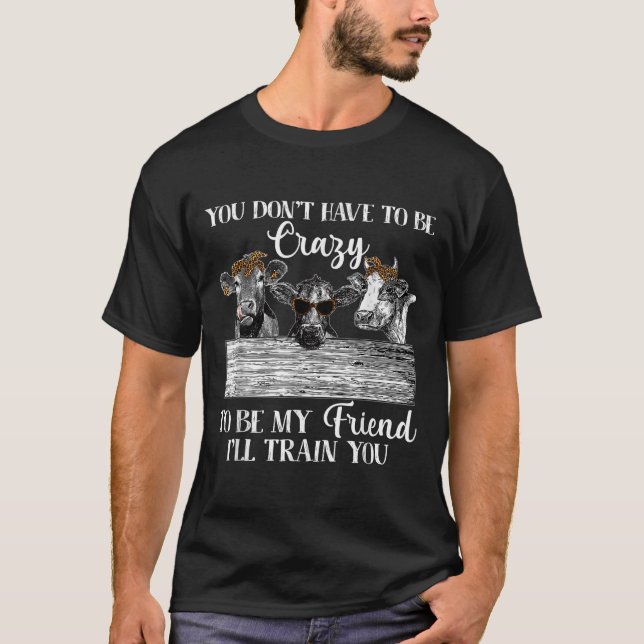 You Dont Have To Be Crazy To Be Friend I'll Train  T-Shirt (Front)