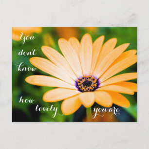 You Don't Know How Lovely You Are Postcard