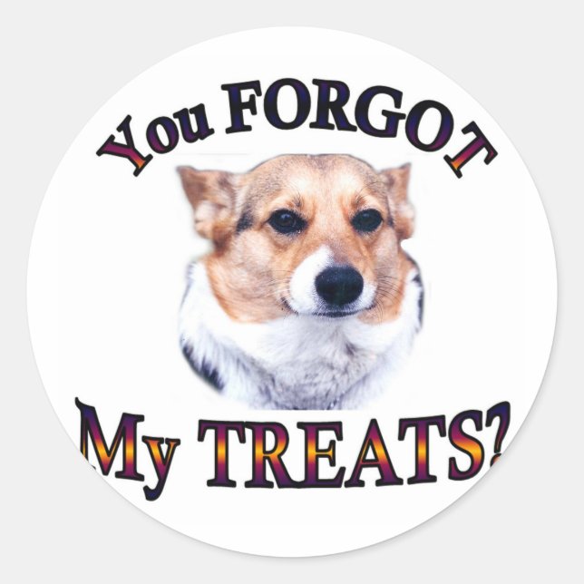 You FORGOT my treats Classic Round Sticker (Front)