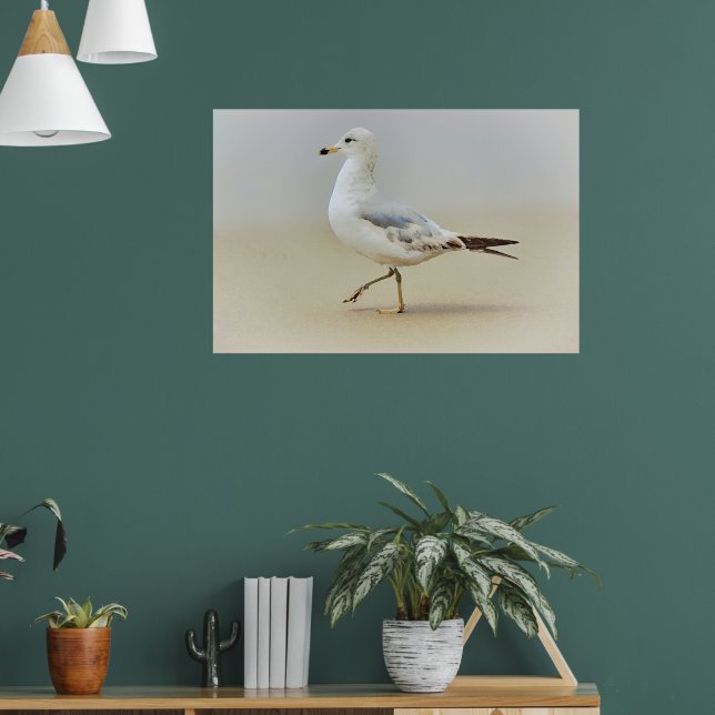 You Go Gull Sea Gull Beach Art Poster (Living Room 1)