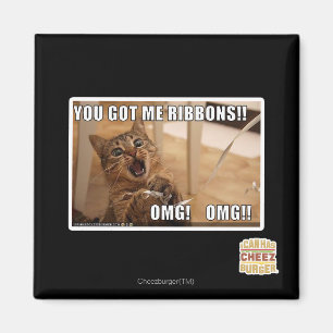 You got me ribbons!! magnet