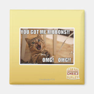 You got me ribbons!! magnet