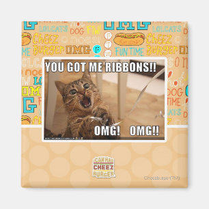 You got me ribbons!! magnet