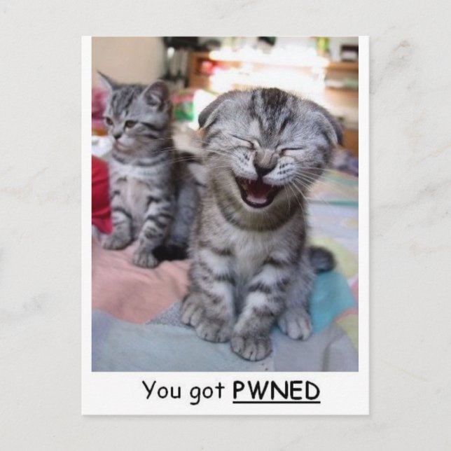 You got PWNED Postcard (Front)