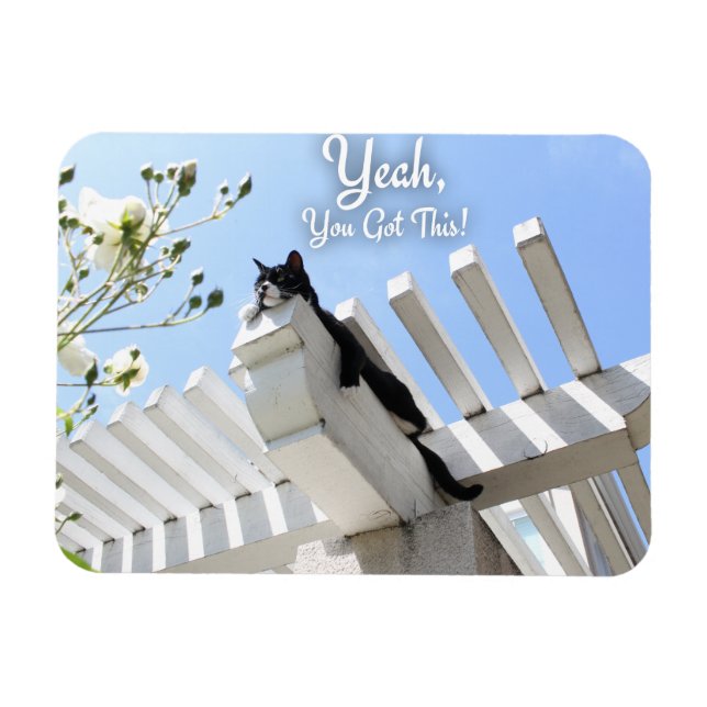 You Got This Cat Motivational Slogan Magnet (Horizontal)