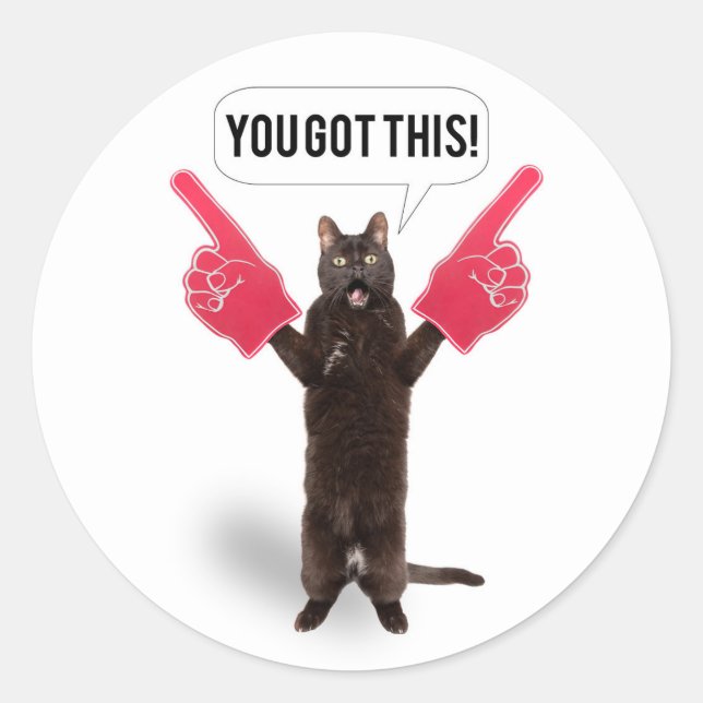 You Got This Encouragement Cat Cheering  Holiday C Classic Round Sticker (Front)