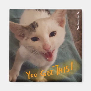 You Got This! kitten magnet