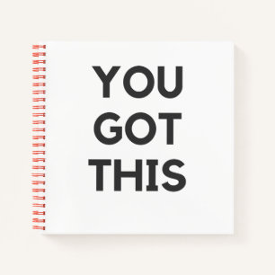 you got this notebook