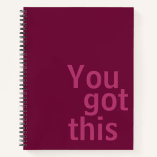 You got this - notebook