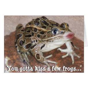 You Gotta kiss a few Frogs