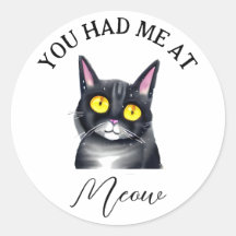 You Had Me at Meow