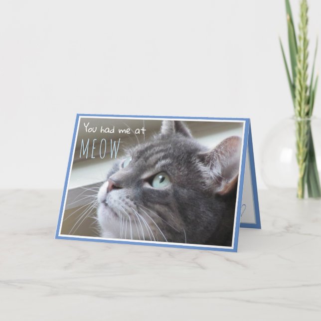 You Had Me at Meow Happy Anniversary Cute Cat Card (Front)