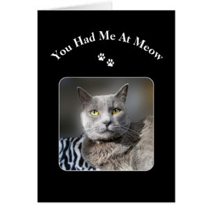 You Had Me At Meow Russian Blue Cat