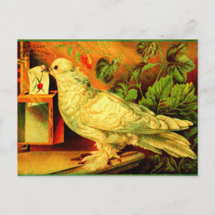 You have mail! postcard