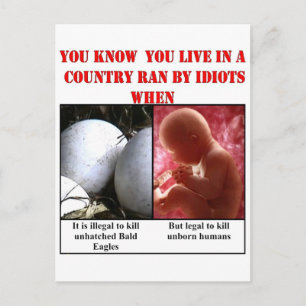 YOU KNOW YOU LIVE IN A COUNTRY RAN BY IDIOTS WHEN POSTCARD