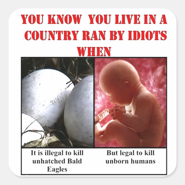 YOU KNOW YOU LIVE IN A COUNTRY RAN BY IDIOTS WHEN SQUARE STICKER (Front)