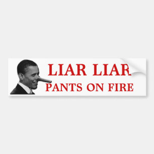 You LIE Bumper Sticker